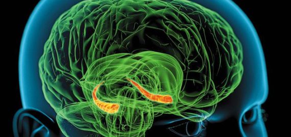 How Our Brains Make Memories