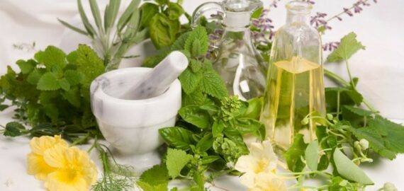 أعشاب لتقوية الذاكرة وسرعة الحفظ