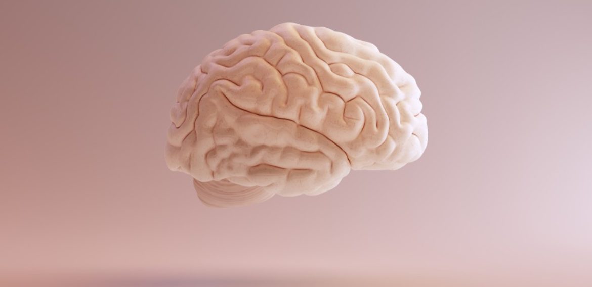 Stages of Memory