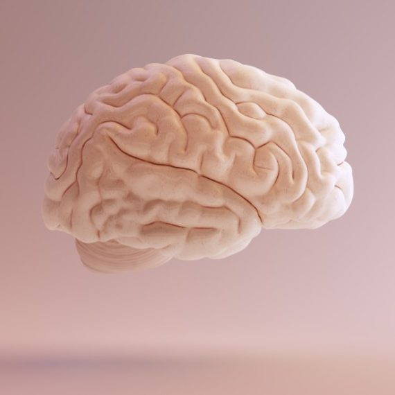 Stages of Memory
