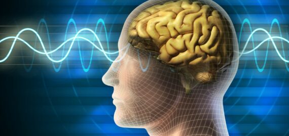 How do I activate my brain ?