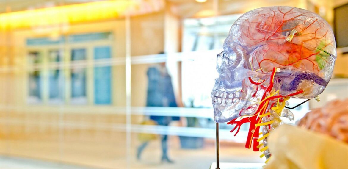 know about human memory