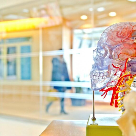 know about human memory