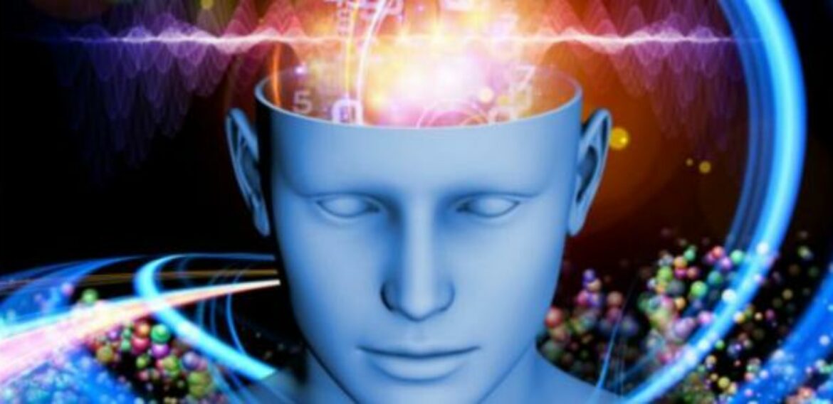 The Human Memory