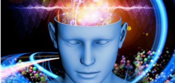 The Human Memory
