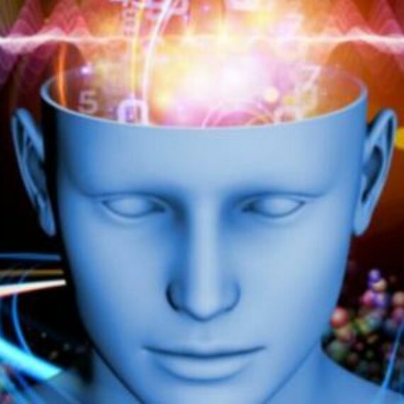 The Human Memory